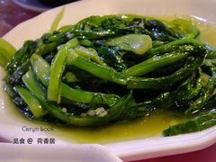 蒜蓉油麦菜-荷香居(洞企石路店)