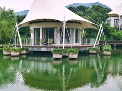 -帐篷客·溪龙茶谷度假酒店