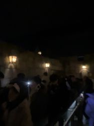 -翱翔飞越地平线