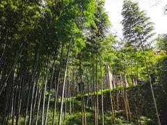 -莫干山风景区