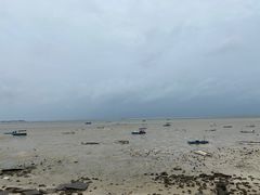 -北海金海湾红树林生态旅游区