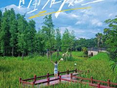 -佛冈森波拉度假区
