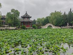 -莲池书院博物馆