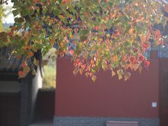 -艾山风景名胜区