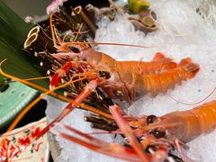 -枫千叶精致料理