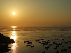 -枸杞岛