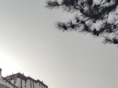 -布达拉宫