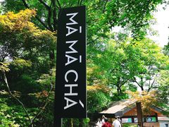 门面-MAMACHA妈妈茶(岳麓山店)