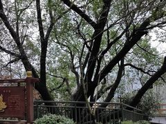 -杭州半山国家森林公园