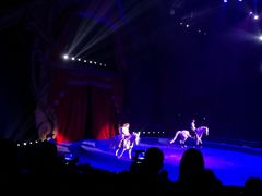 -珠海横琴长隆《卡卡虎奇遇记》