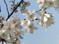 -西北湖绿化广场