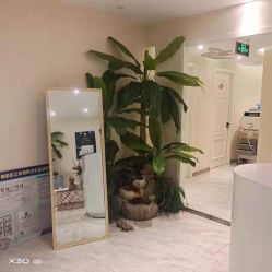 -健身堂科技美肌SPA