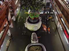 -三只耳火锅(宽窄巷子店)