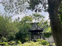 -西园戒幢律寺