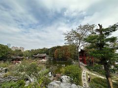-顺峰山公园