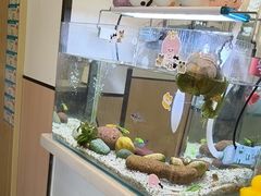 -瑞派·关忠动物医院·猫专科·犬专科(三环新城店)