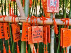 -宝莲寺