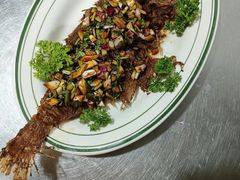 -雪熊哈尔滨烧烤·精酿啤酒·砂锅(中央胜境店)