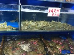 水产区-张树军海鲜(王府壹号店)
