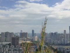 -板樟山森林公园