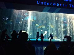 -泉城欧乐堡海洋极地世界