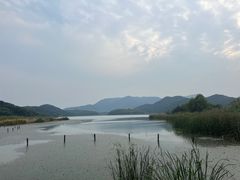 -鸣鹤古镇