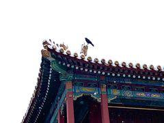 -故宫博物院(故宫)