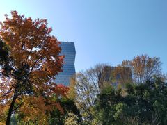 -新虹桥中心花园