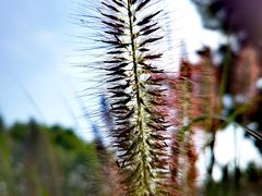 -汉长安城未央宫国家考古遗址公园