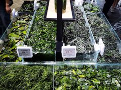 -胖东来生活广场(健康路店)