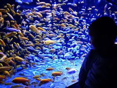 -成都浩海立方海洋公园