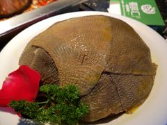 -二荆条·蜀鲜汇城市森林火锅