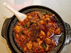 -陈麻婆豆腐总店