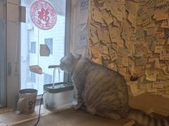 -H立方实景剧情密室(天河旗舰店)
