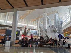 -达拉斯 沃斯堡国际机场