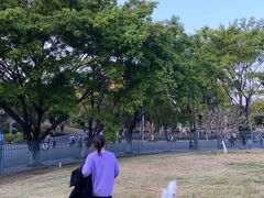 -东莞植物园