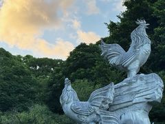 -金鸡山公园