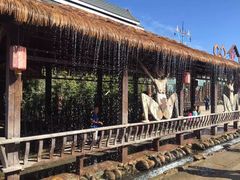-呀路古热带植物园