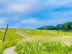 -佛手湖郊野公园