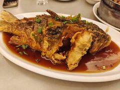 -金春禧(世茂国际广场店)