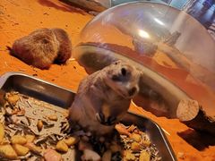 -南京金牛湖风景区