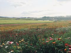 -光明小镇欢乐田园