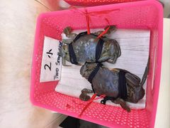 -龙海鲜螃蟹王(宏茂桥店)