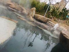 -汤泊温泉度假村