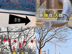 -海珠湖公园