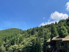 -武陵山森林公园