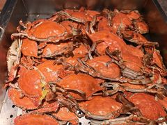 -禾斗海鲜自助(市南银座店)