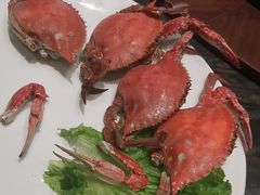 -大连湾旭日·家宴·海肠捞饭(马栏广场店)