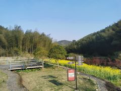 -宁波浙东大竹海景区