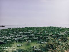 -阳澄湖半岛旅游度假区